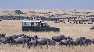 The Best Places to Visit in Kenya