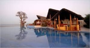 The Best Places to Visit in Senegal