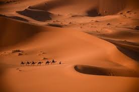 The Best Places to Visit in Morocco