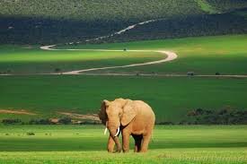 The Best Places to Visit in South Africa
