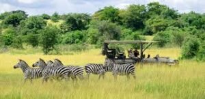 The Best Places to Visit in Rwanda