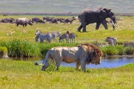 The Best Places to Visit in Tanzania