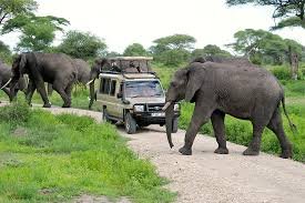 The Best Places to Visit in Tanzania