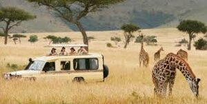 The Best Places to Visit in Tanzania