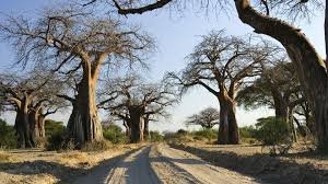 The Best Places to Visit in Tanzania